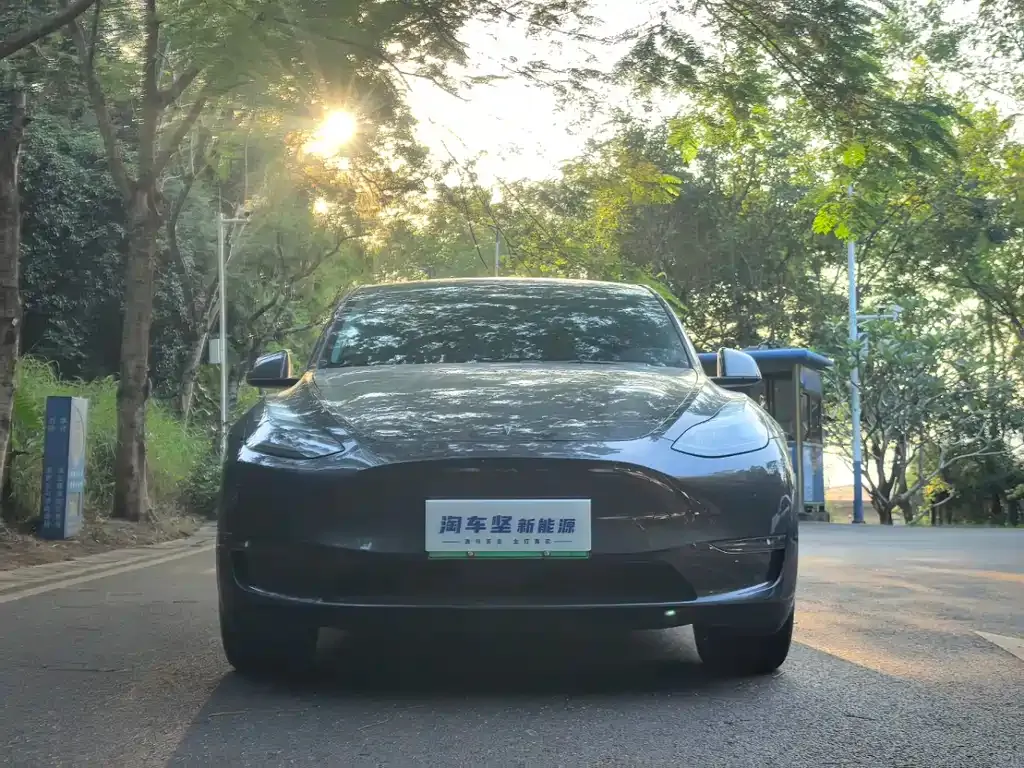 Tesla Model Y 2024 из CN, фото 2