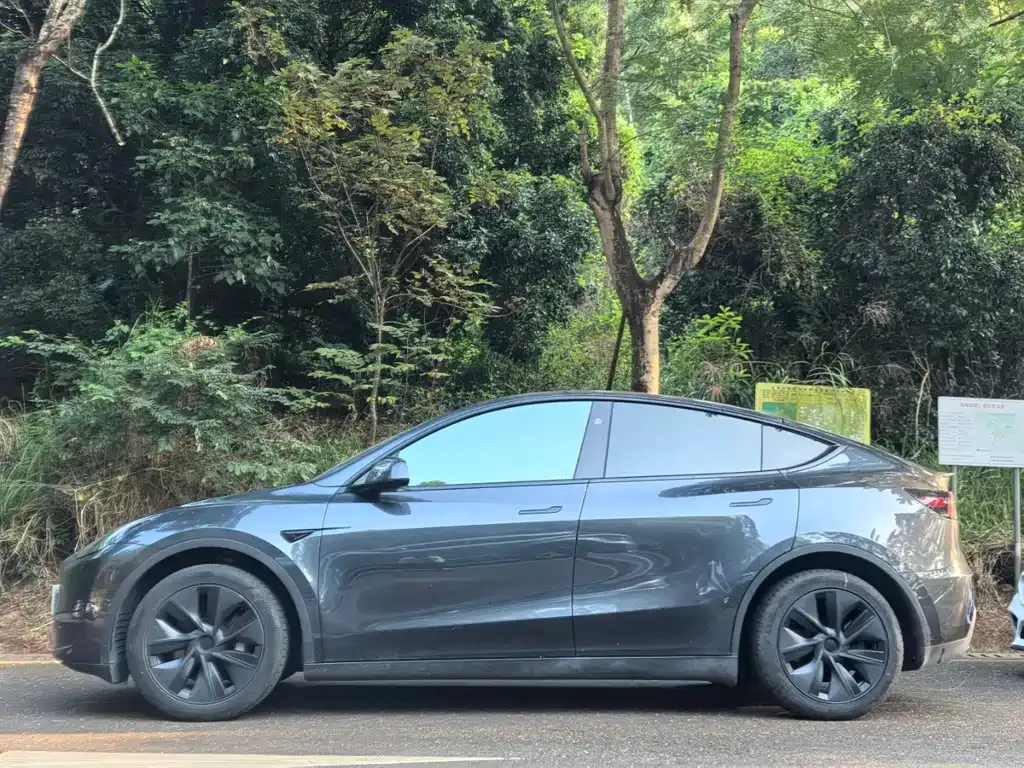 Tesla Model Y 2024 из CN, фото 3