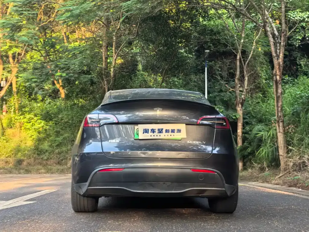 Tesla Model Y 2024 из CN, фото 4