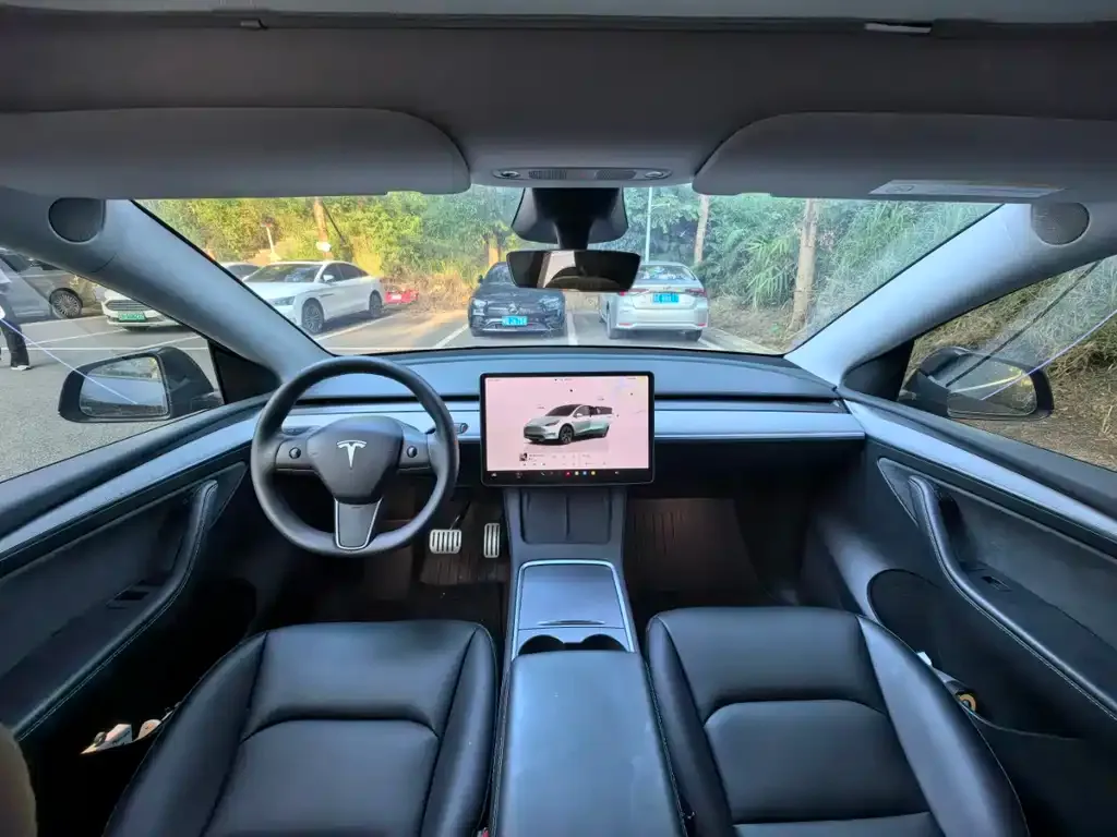 Tesla Model Y 2024 из CN, фото 6