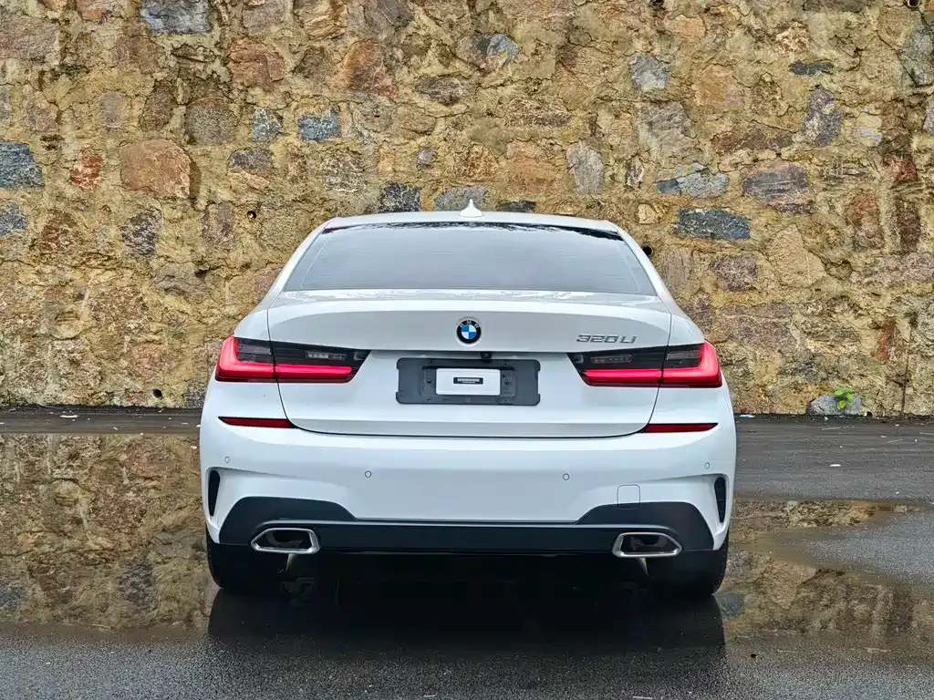 BMW 3 Series 2022 из CN, фото 10