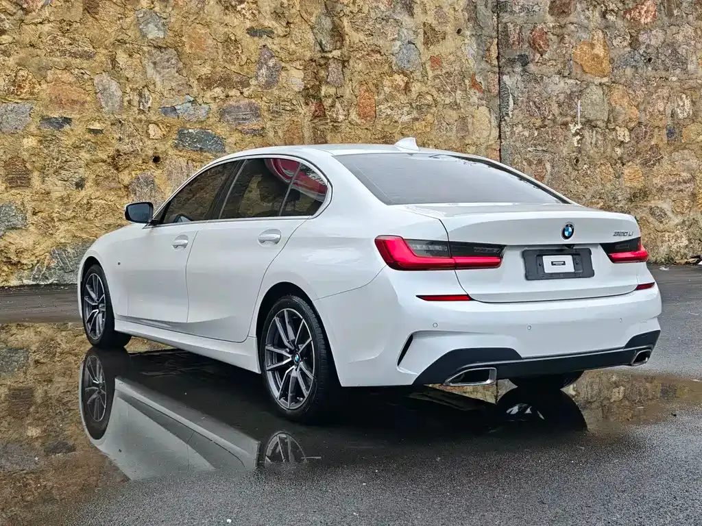 BMW 3 Series 2022 из CN, фото 9