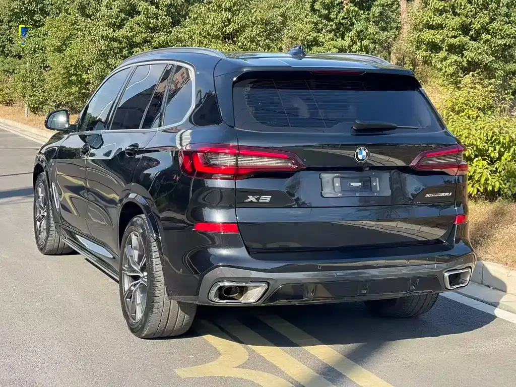 BMW X5 2023 из CN, фото 6