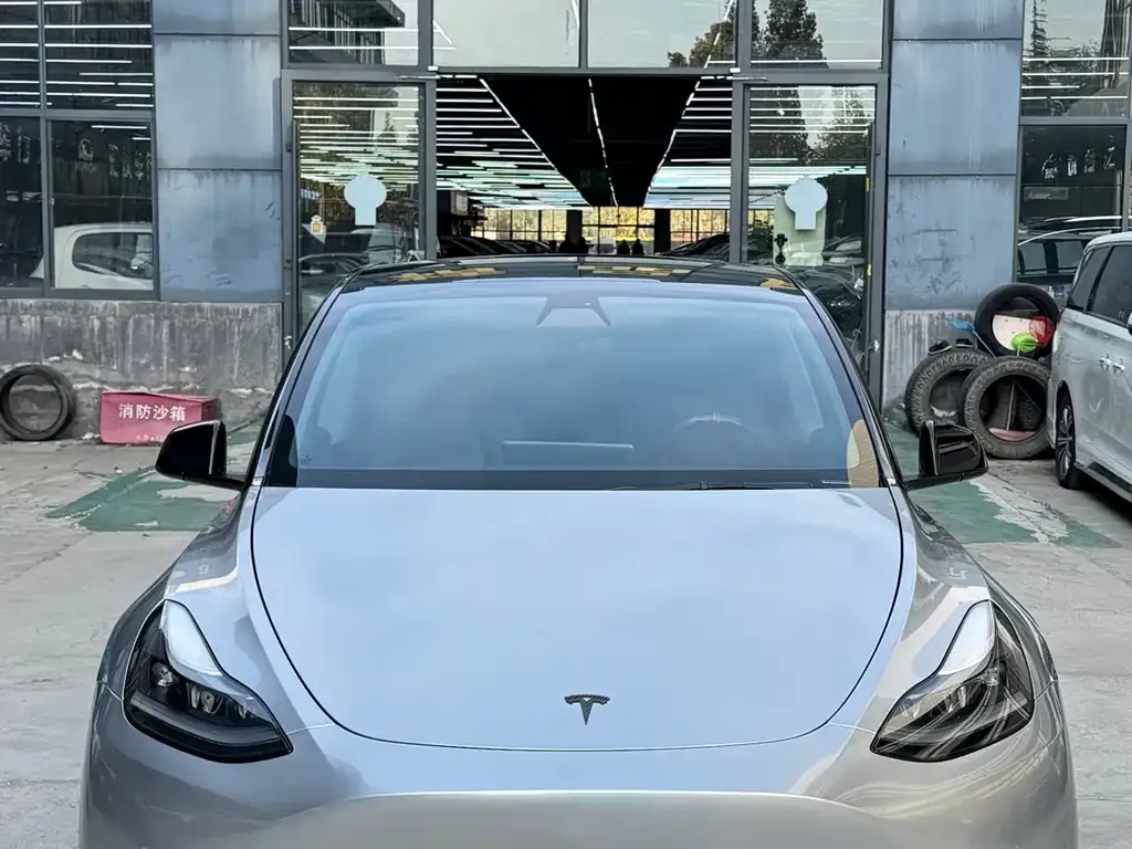 Tesla Model Y 2021 из CN, фото 2