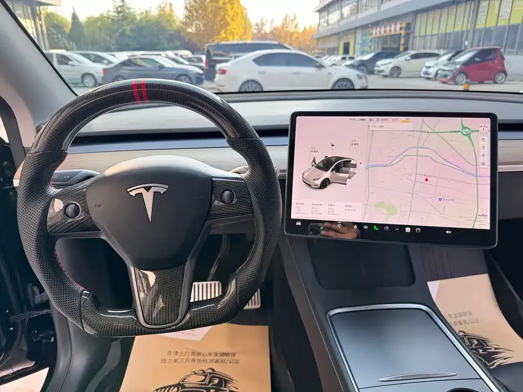 Tesla Model Y 2021 из CN, фото 7