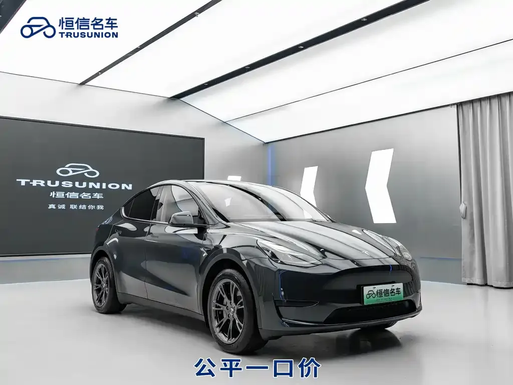 Tesla Model Y 2024 из CN, фото 3