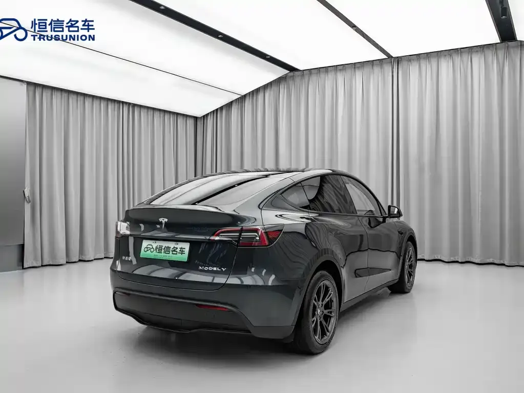 Tesla Model Y 2024 из CN, фото 6