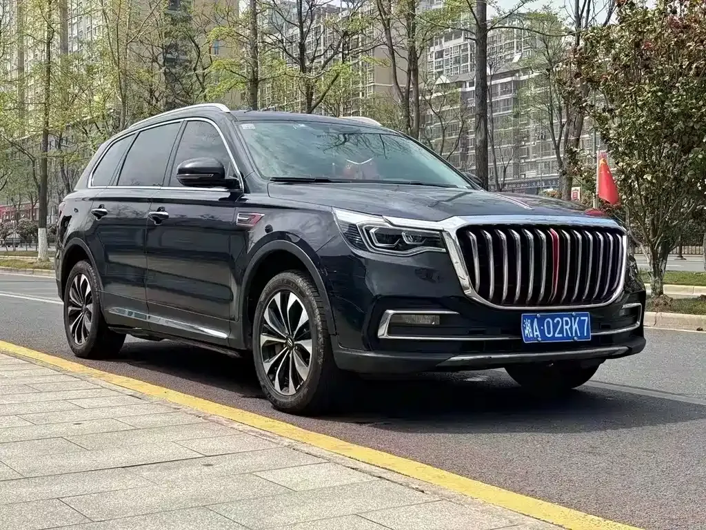 Hongqi HS7 2021 из CN, фото 3