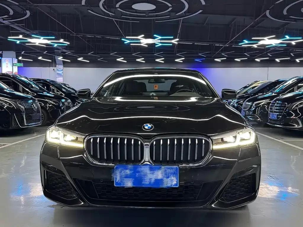 BMW 5 Series 2022 из CN, фото 2