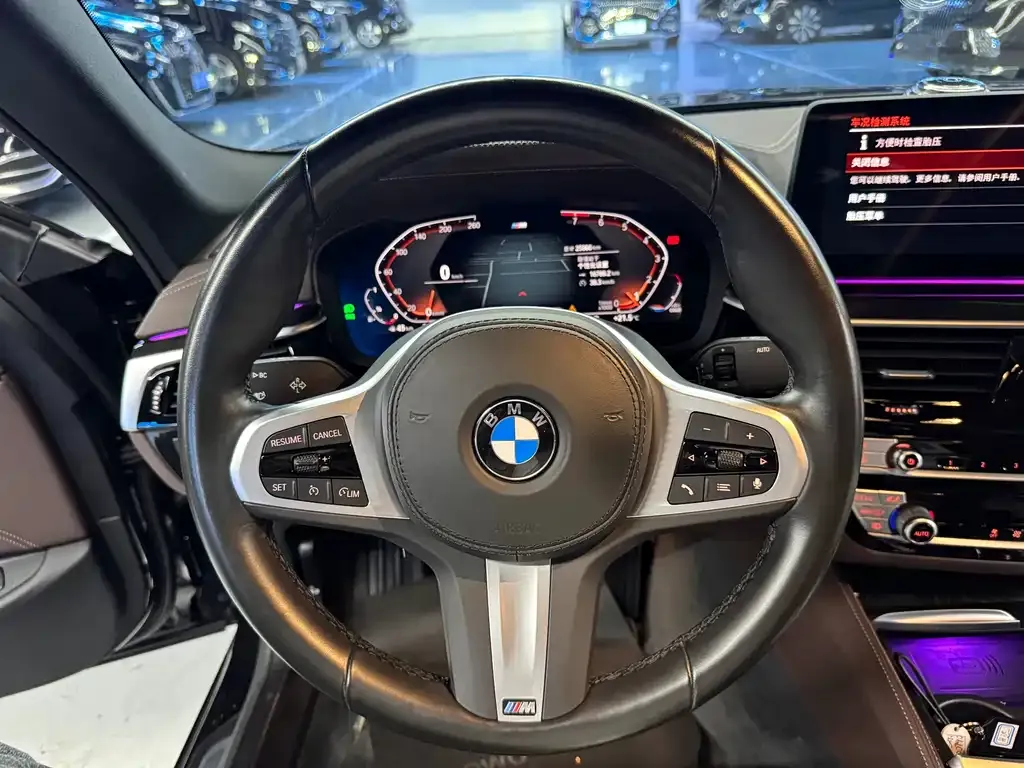 BMW 5 Series 2022 из CN, фото 6