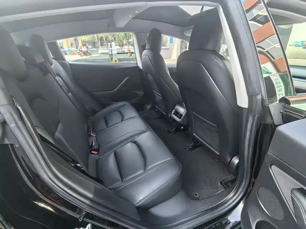 Tesla Model 3 2021 из CN, фото 6