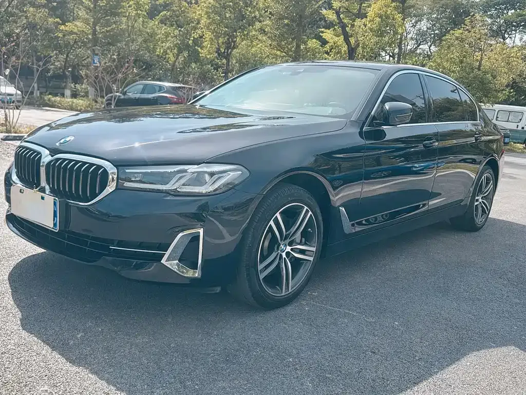 BMW 5 Series 2022 из CN, фото 1