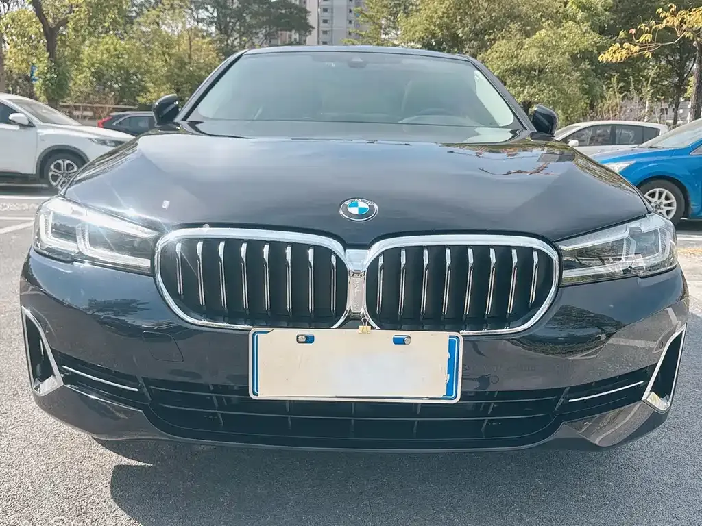 BMW 5 Series 2022 из CN, фото 2