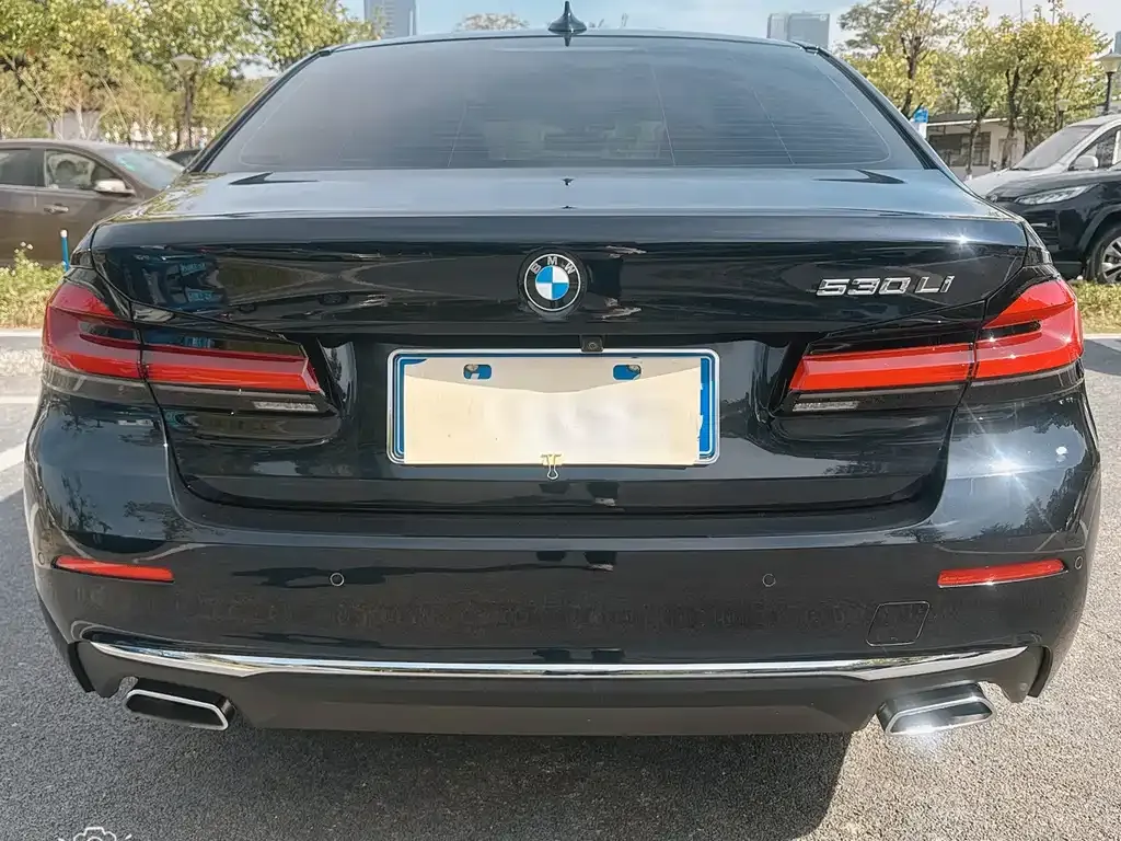 BMW 5 Series 2022 из CN, фото 3
