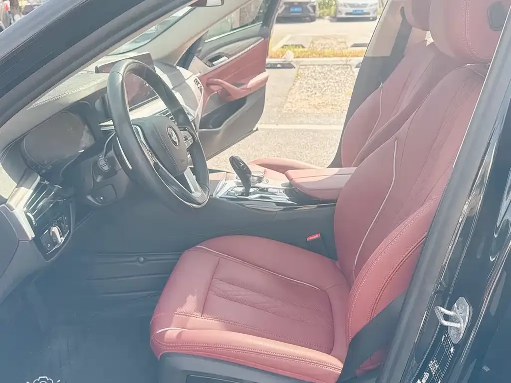 BMW 5 Series 2022 из CN, фото 4