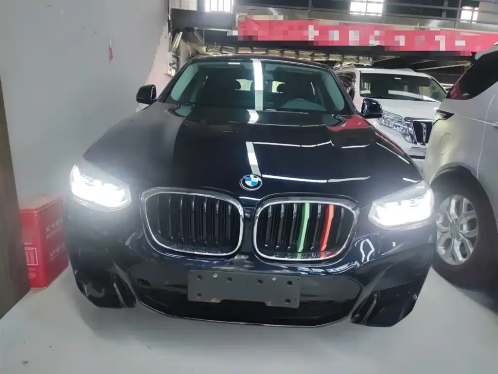 BMW X4 2021 из CN, фото 3