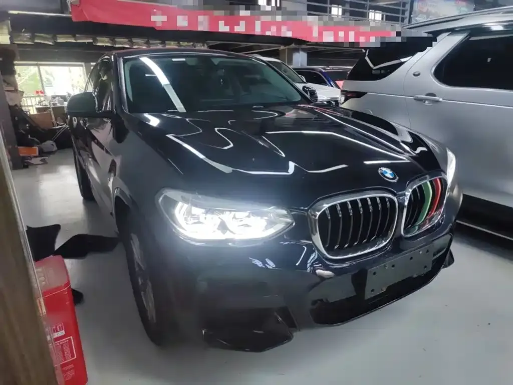 BMW X4 2021 из CN, фото 4