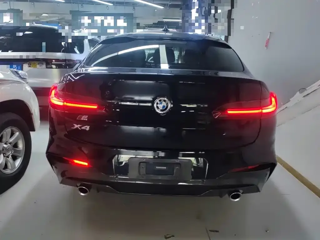 BMW X4 2021 из CN, фото 6