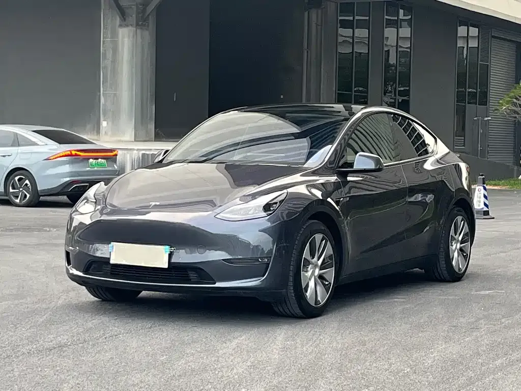 Tesla Model Y 2021 из CN, фото 1