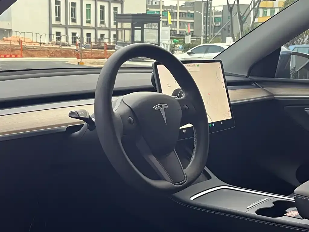 Tesla Model Y 2021 из CN, фото 10