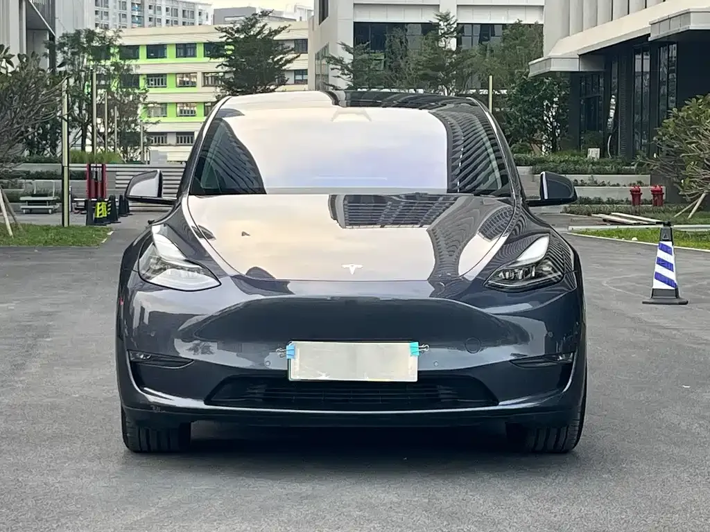 Tesla Model Y 2021 из CN, фото 2
