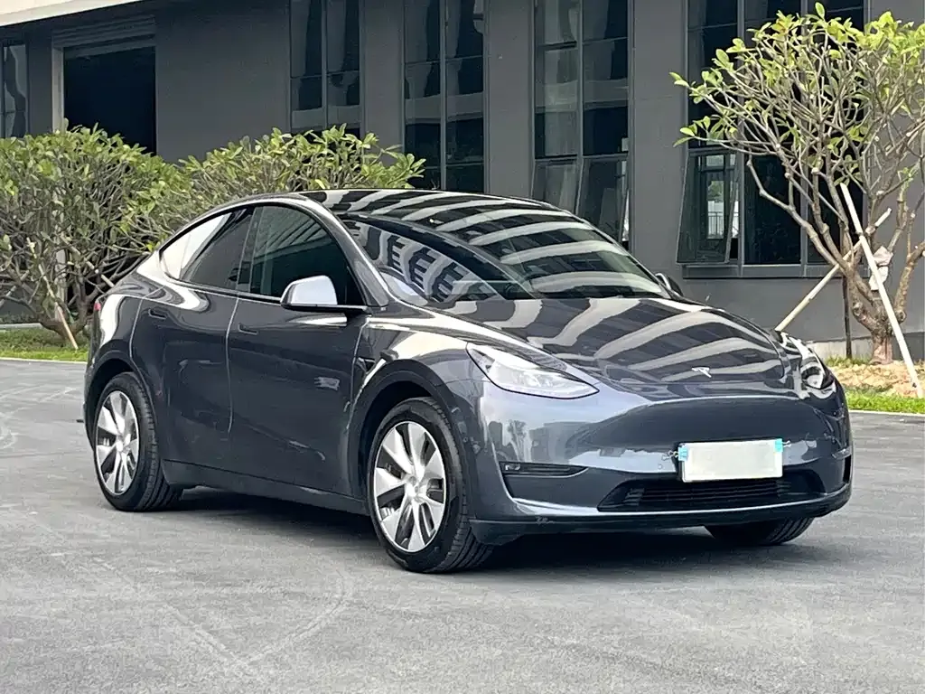 Tesla Model Y 2021 из CN, фото 3
