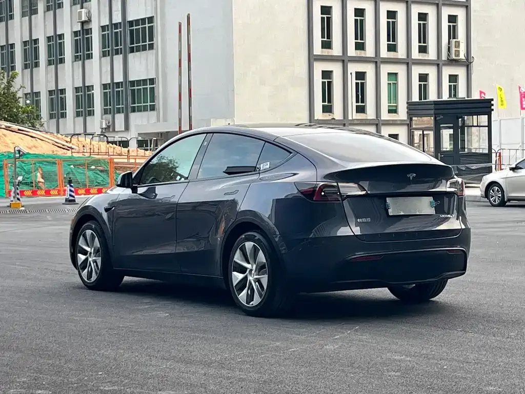 Tesla Model Y 2021 из CN, фото 4