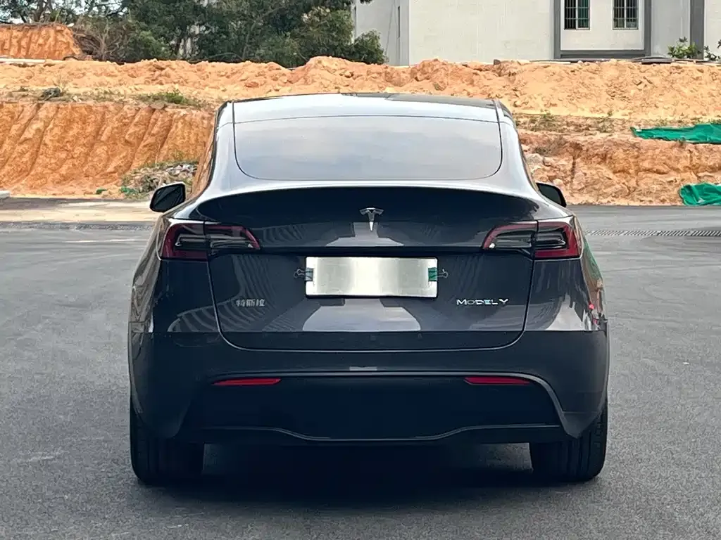 Tesla Model Y 2021 из CN, фото 5