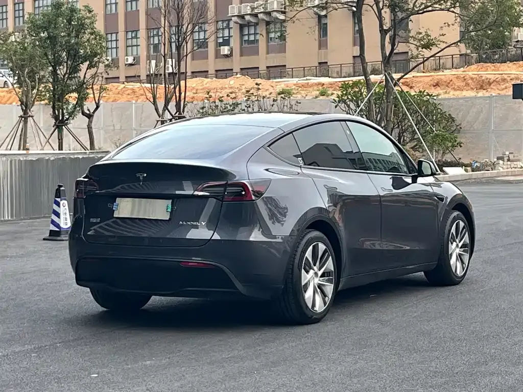 Tesla Model Y 2021 из CN, фото 6