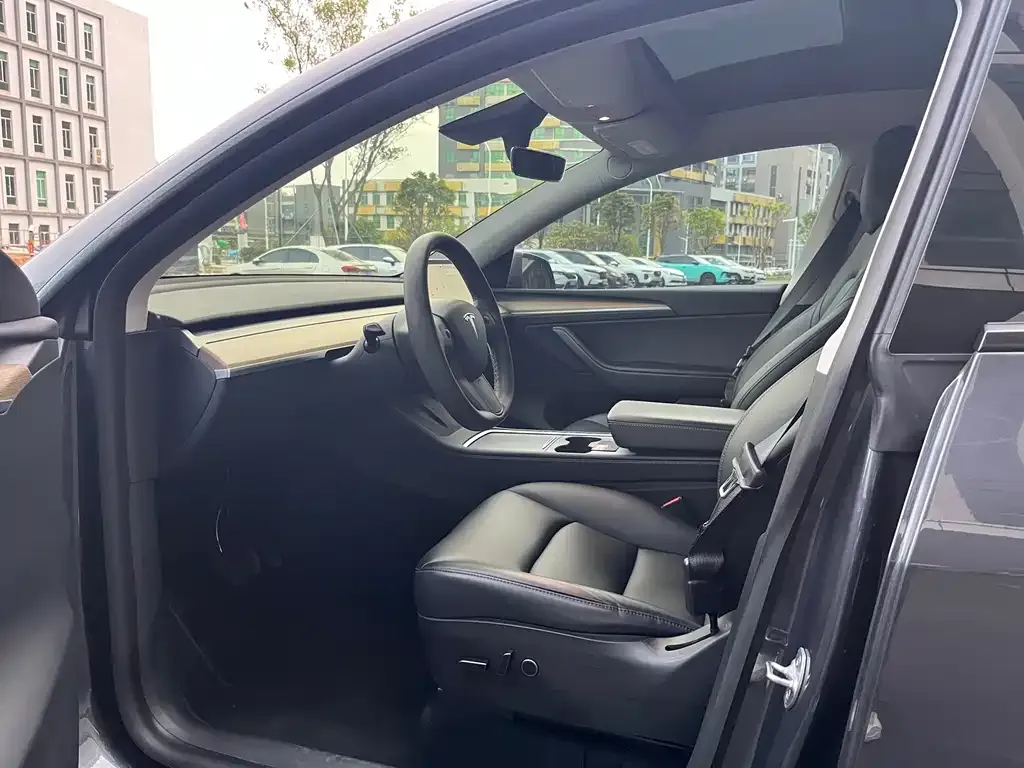 Tesla Model Y 2021 из CN, фото 7