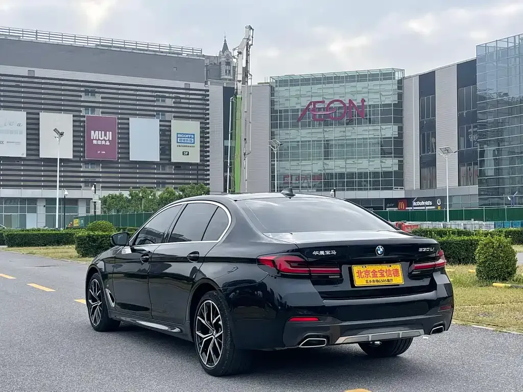 BMW 5 Series 2023 из CN, фото 6