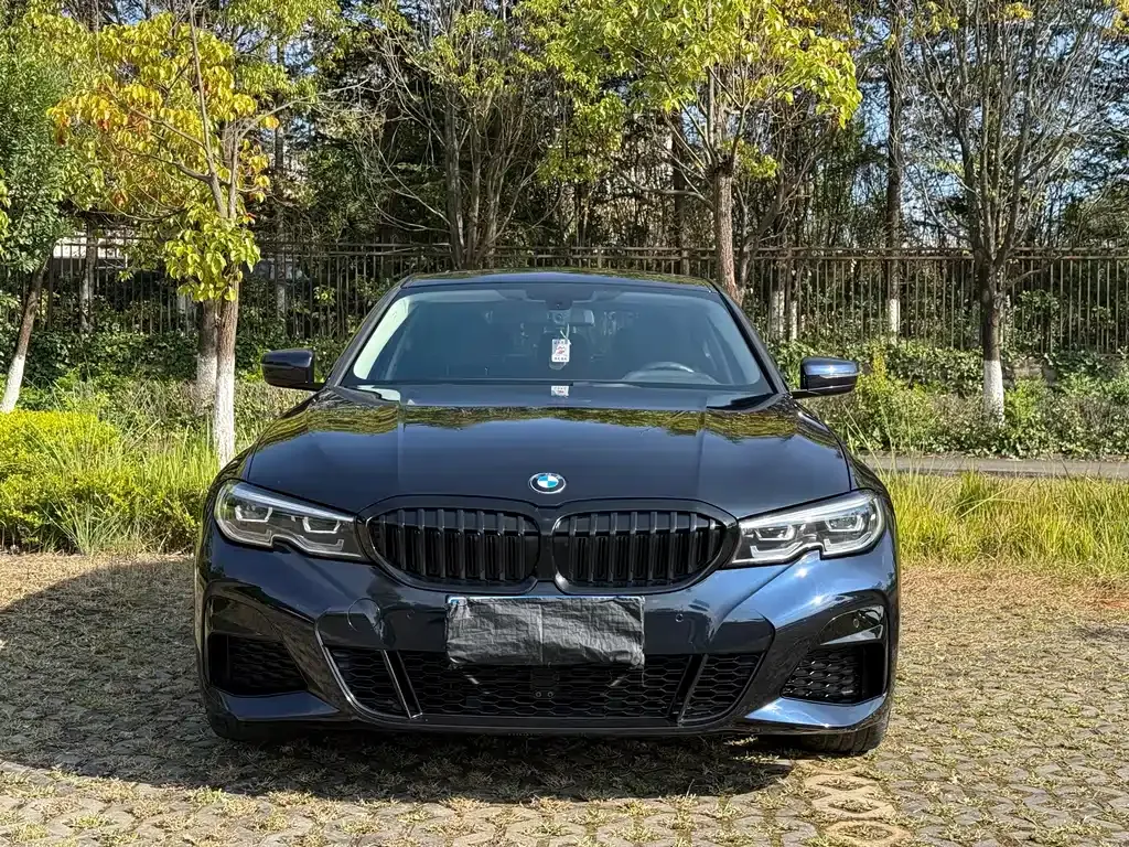 BMW 3 Series 2021 из CN, фото 2
