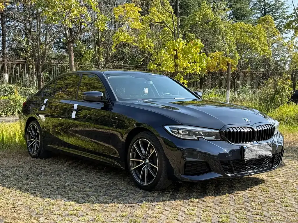 BMW 3 Series 2021 из CN, фото 3