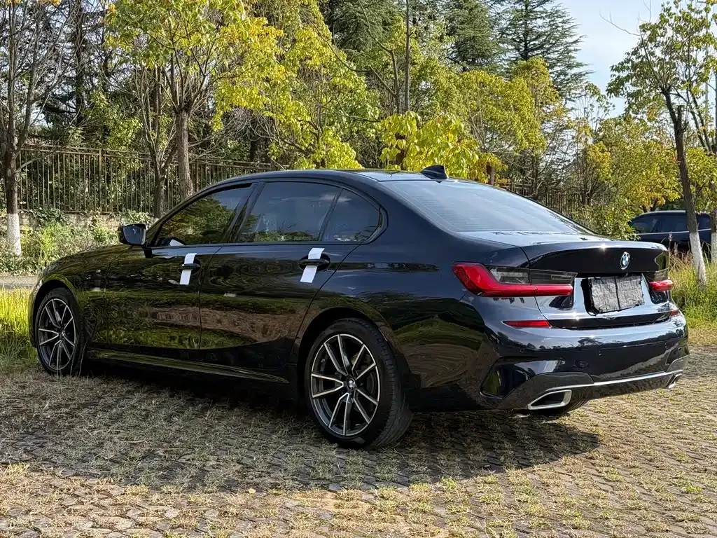 BMW 3 Series 2021 из CN, фото 7
