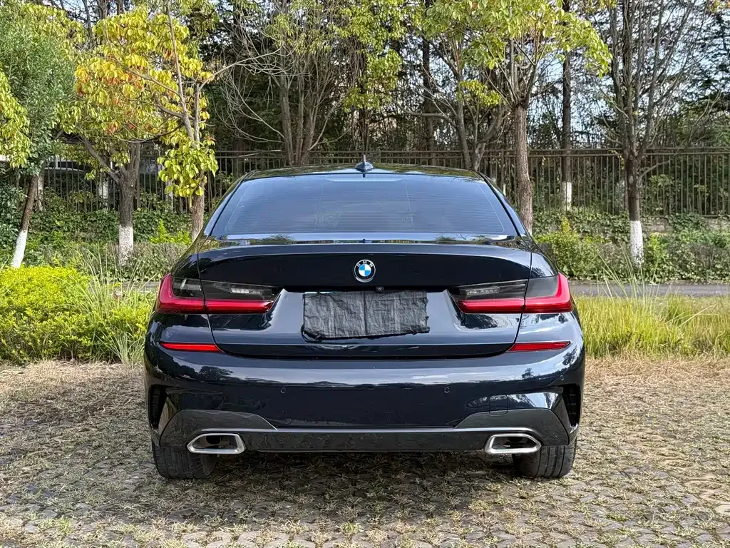 BMW 3 Series 2021 из CN, фото 8