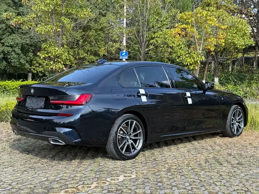 BMW 3 Series 2021 из CN, фото 9