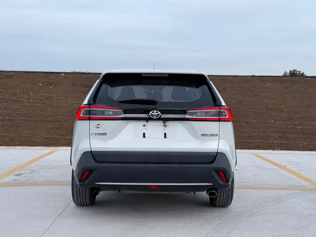 Toyota Wildlander 2025 из CN, фото 10