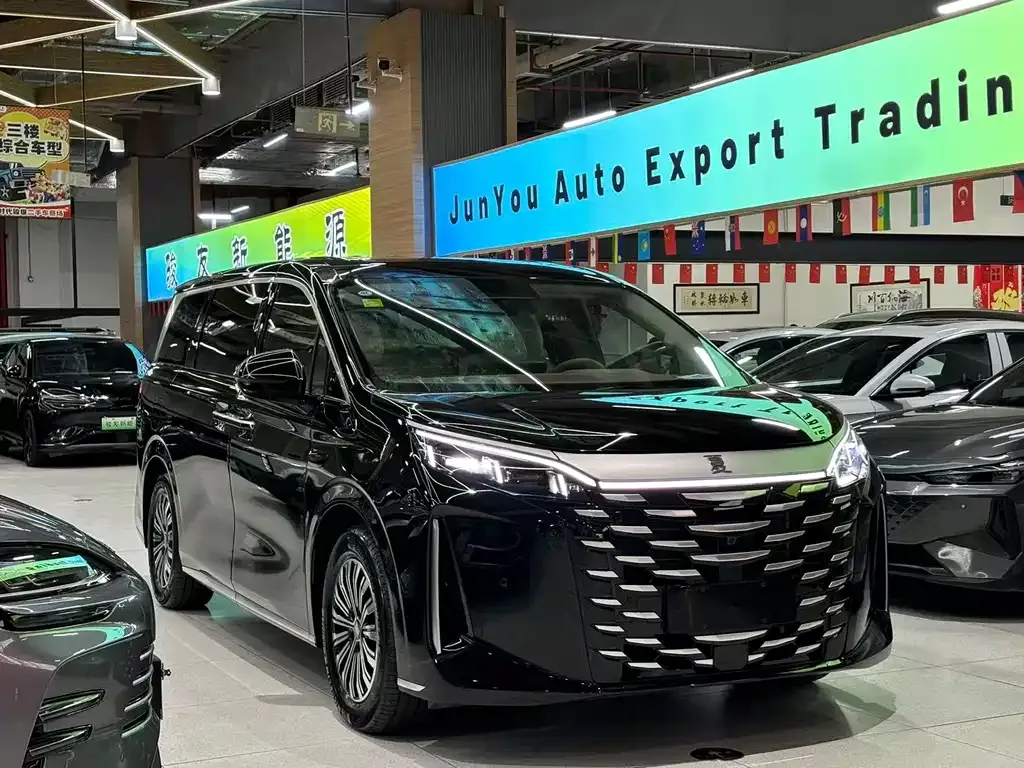 BYD Xia 2025 из CN, фото 4