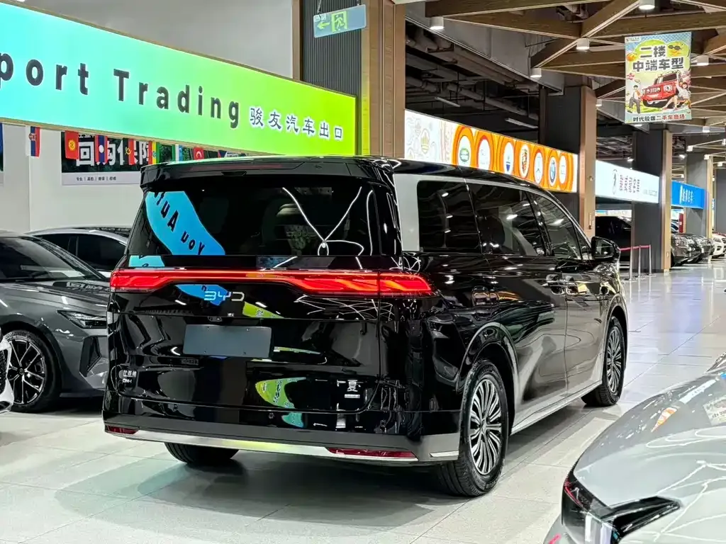 BYD Xia 2025 из CN, фото 5