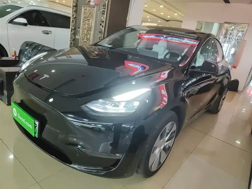 Tesla Model Y 2021 из CN, фото 1