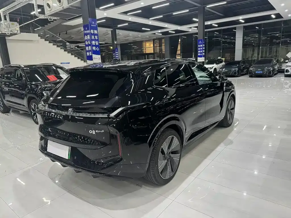 [object Object] 08 EM-P 2025 из CN, фото 4