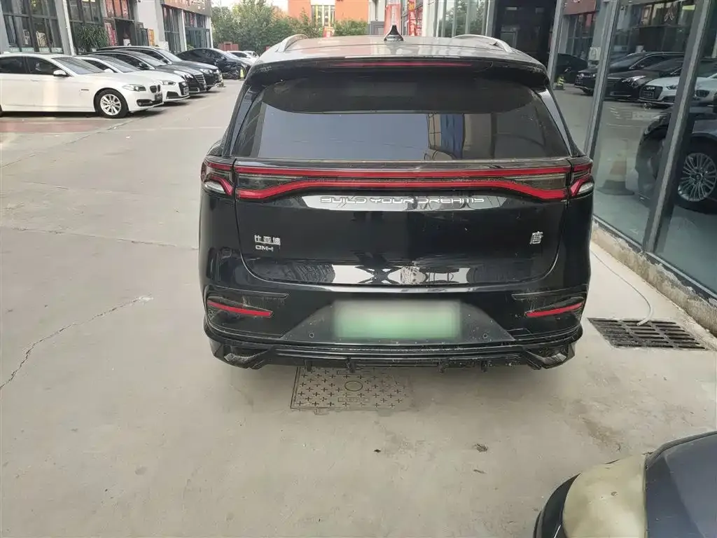 BYD Tang New Energy 2023 из CN, фото 6