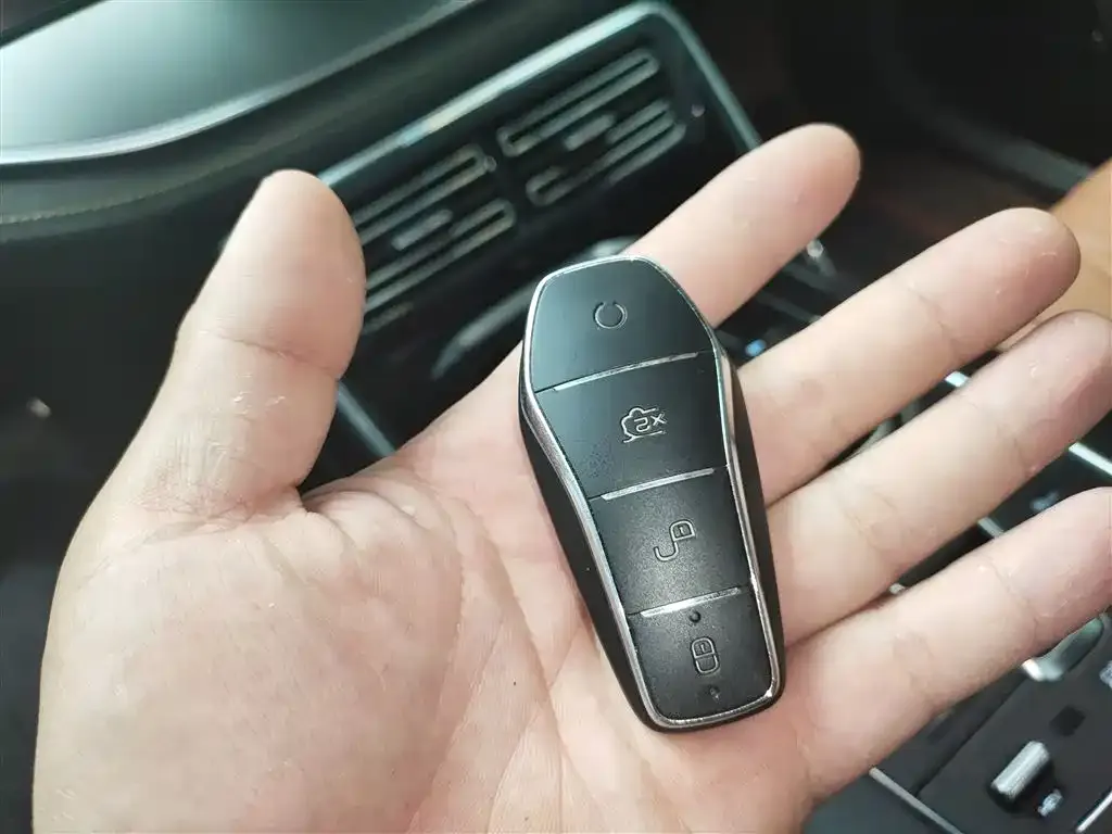 BYD Tang New Energy 2023 из CN, фото 9