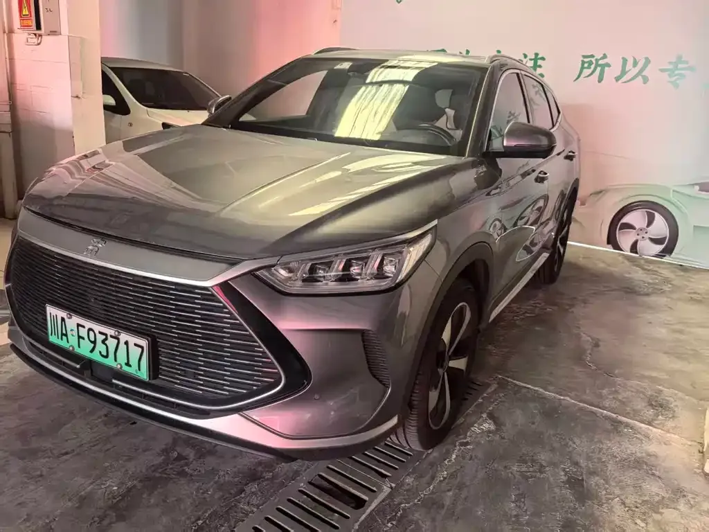 BYD PLUS New Energy — фото 1