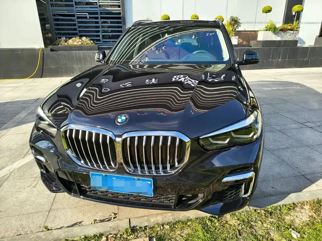 BMW X5 2023 из CN, фото 2