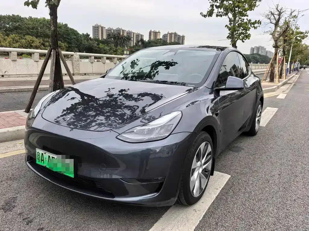 Tesla Model Y 2021 из CN, фото 1