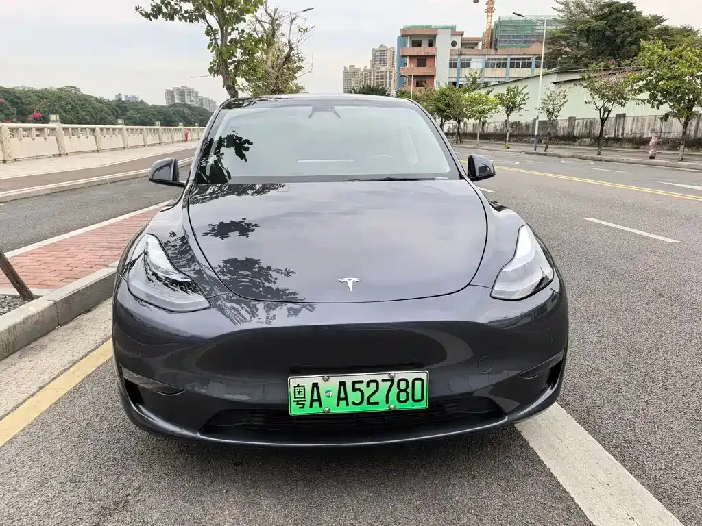 Tesla Model Y 2021 из CN, фото 2