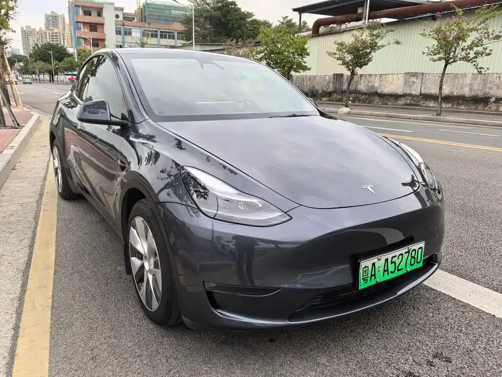 Tesla Model Y 2021 из CN, фото 3