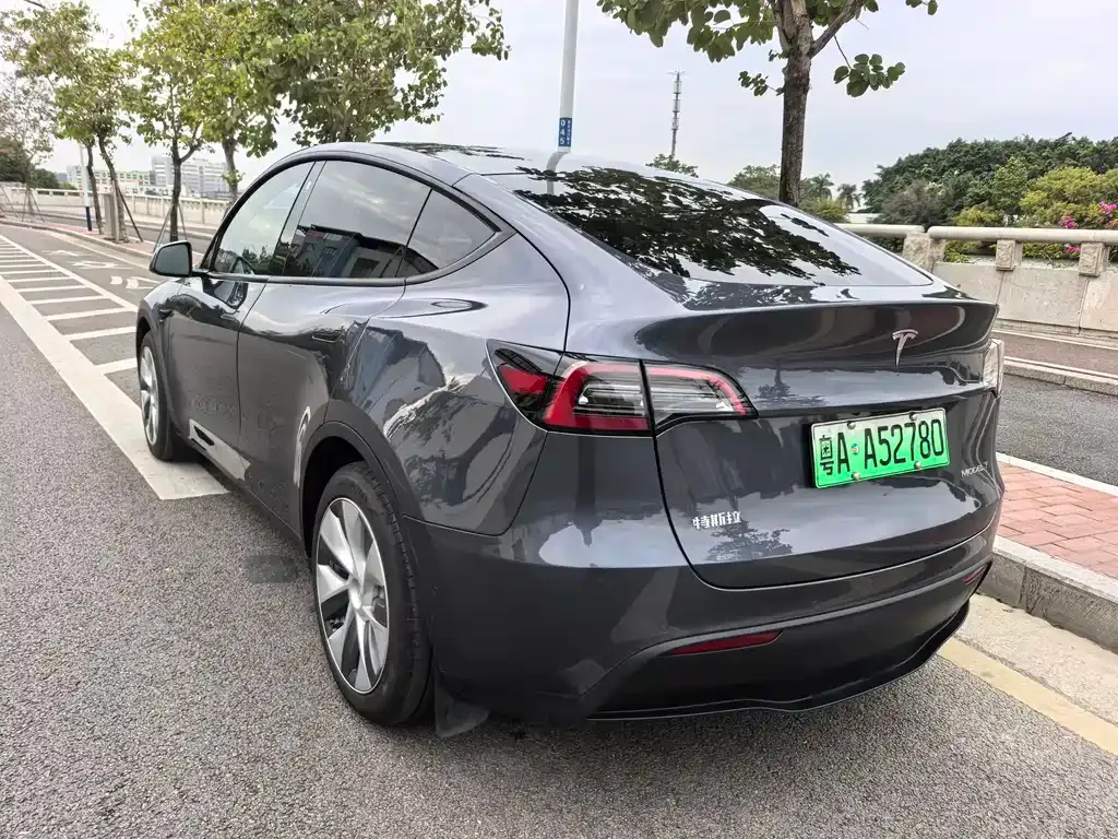 Tesla Model Y 2021 из CN, фото 4