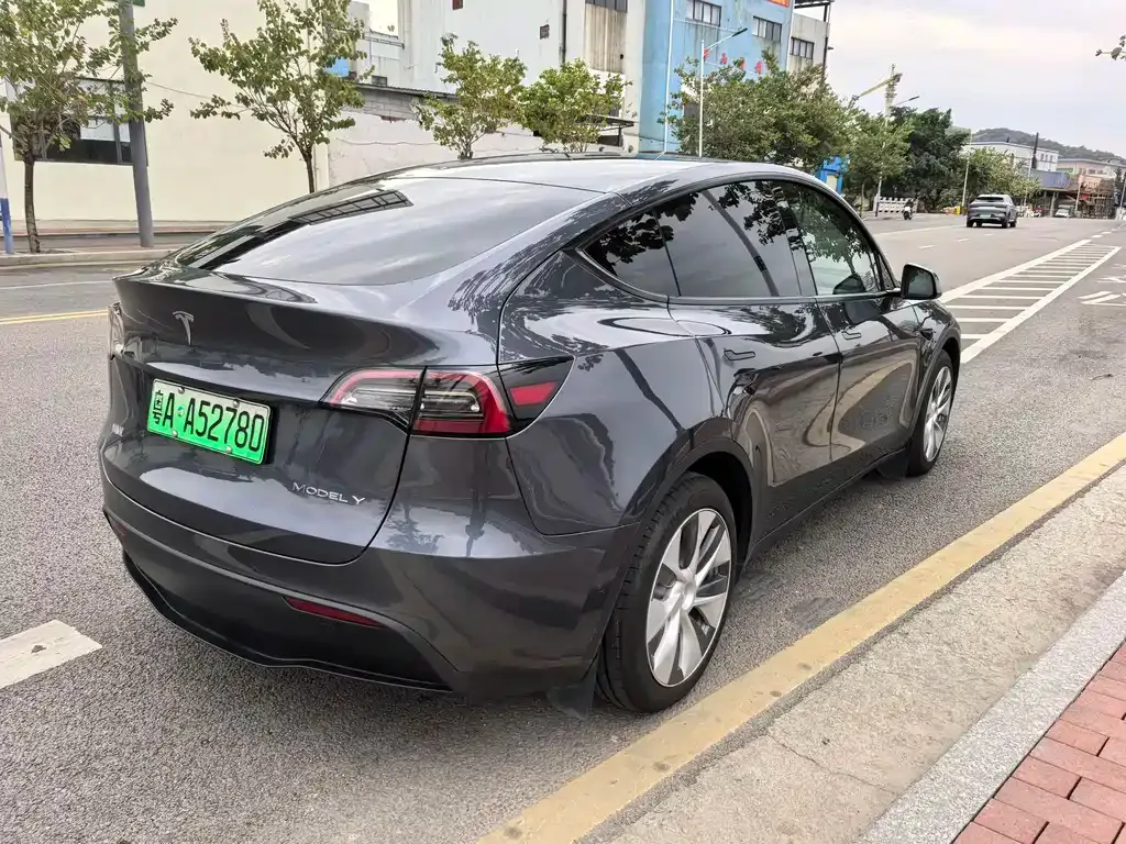 Tesla Model Y 2021 из CN, фото 5